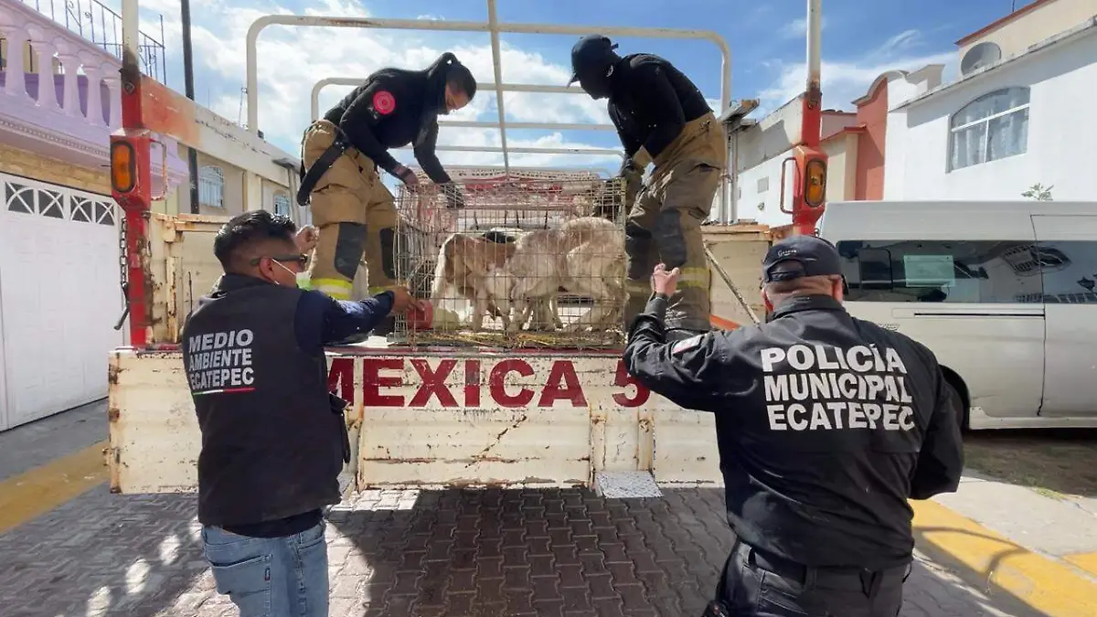 WhatsApp Image 2026-03-22 at 5.33.19 PM