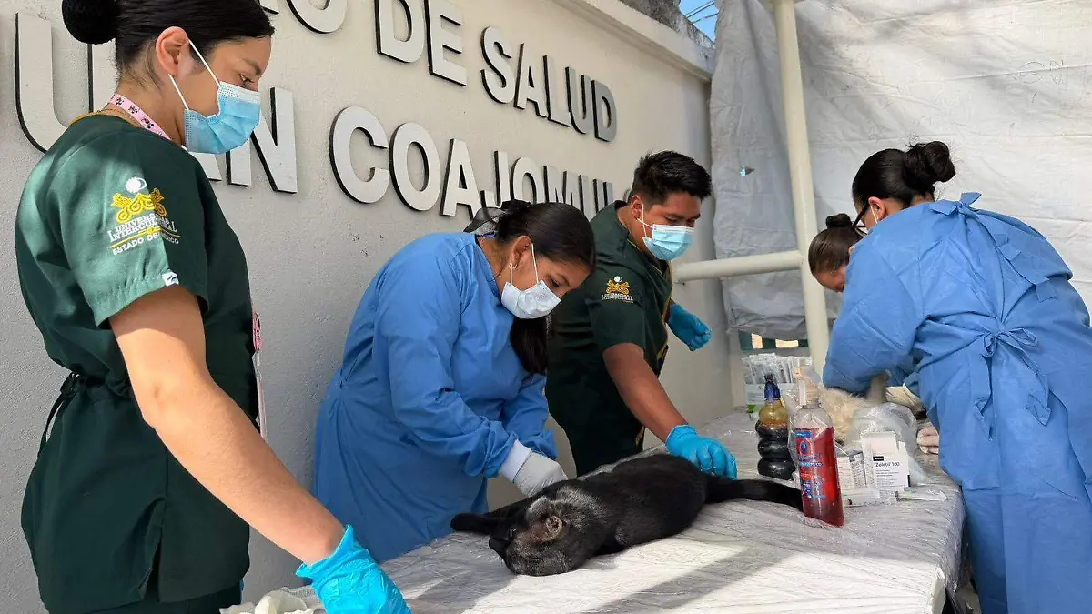 WhatsApp Image 2026-03-22 at 4.42.32 PM