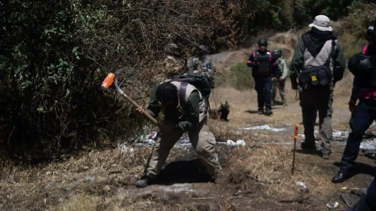 búsqueda de personas
