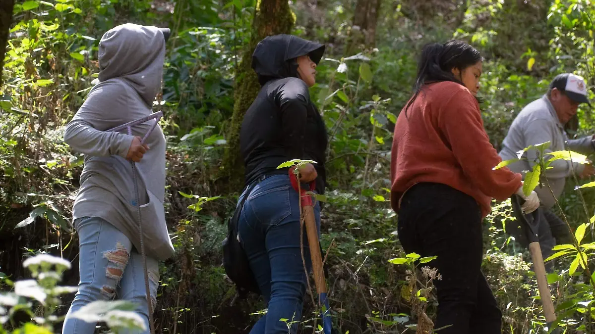 busqueda de personas 3