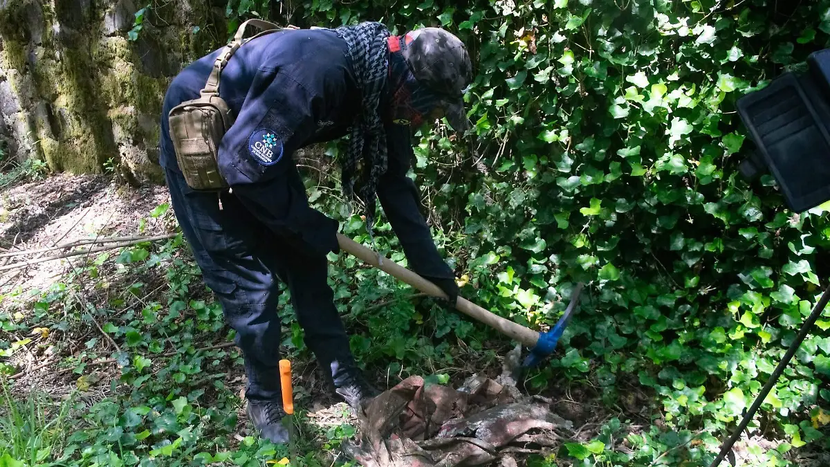 búsqueda de personas 4