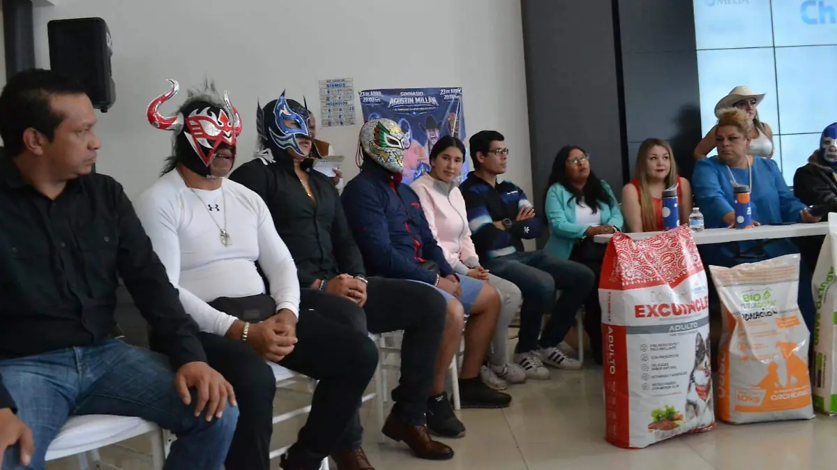 Luchas-libre-blue-demon-jr