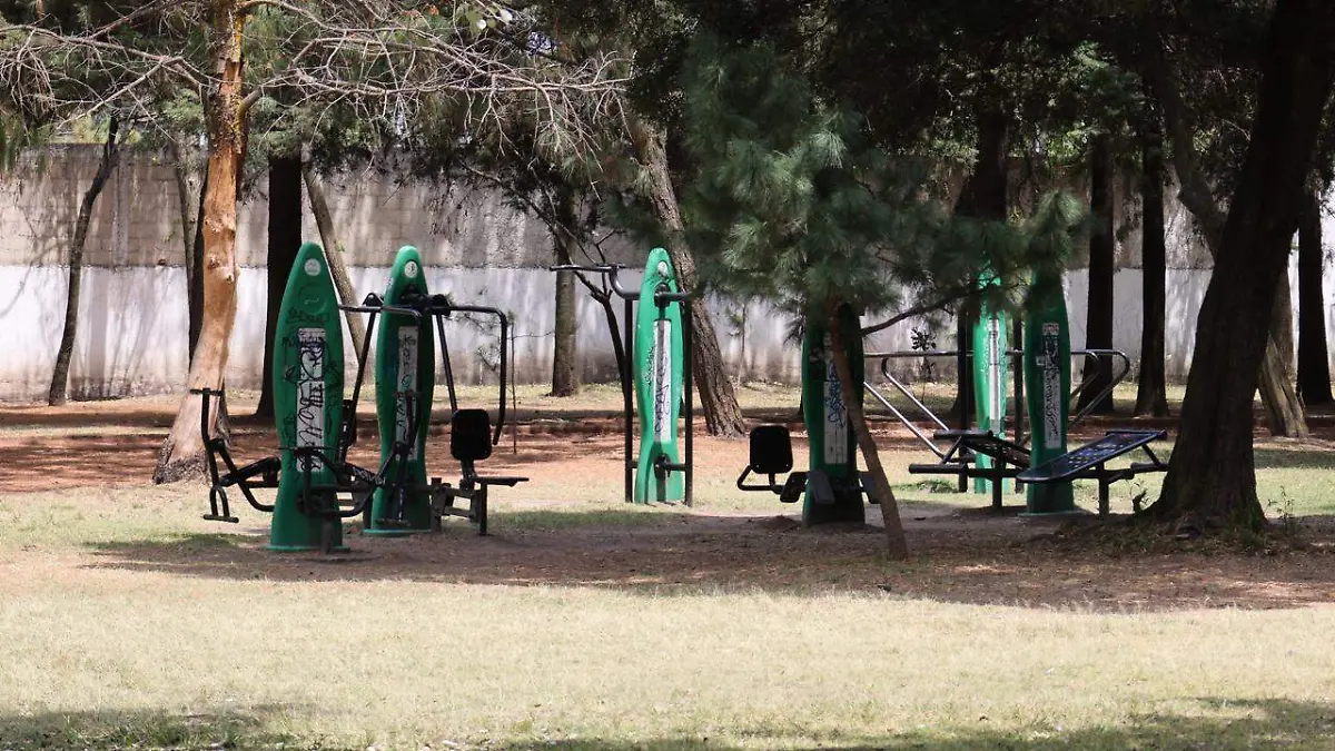 gimnasio-al-aire-libre-en-parque-vicente-guerrero-toluca