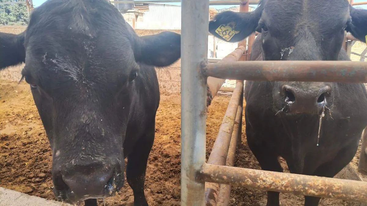 eaf8d446-0151-4ace-9469-83978137e3f2