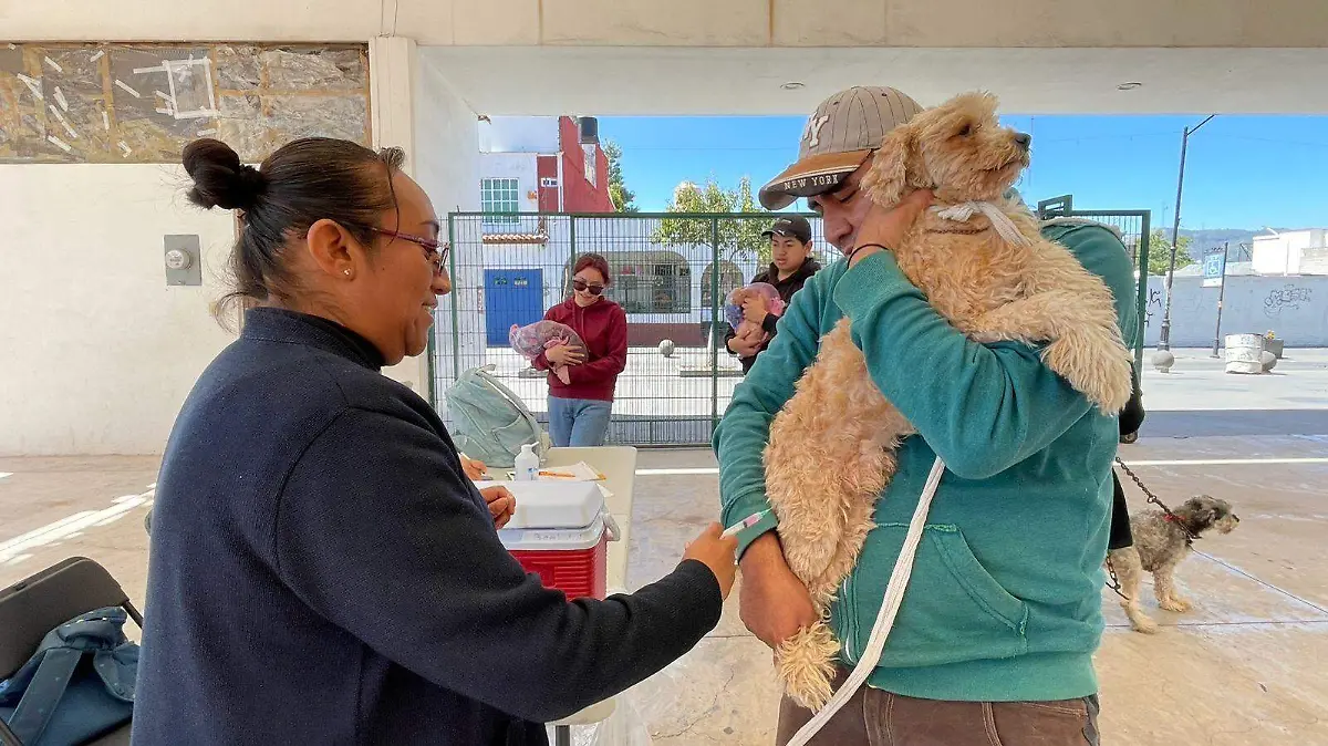 2ed714ae-b61d-4c1f-935a-111d95b97c1d