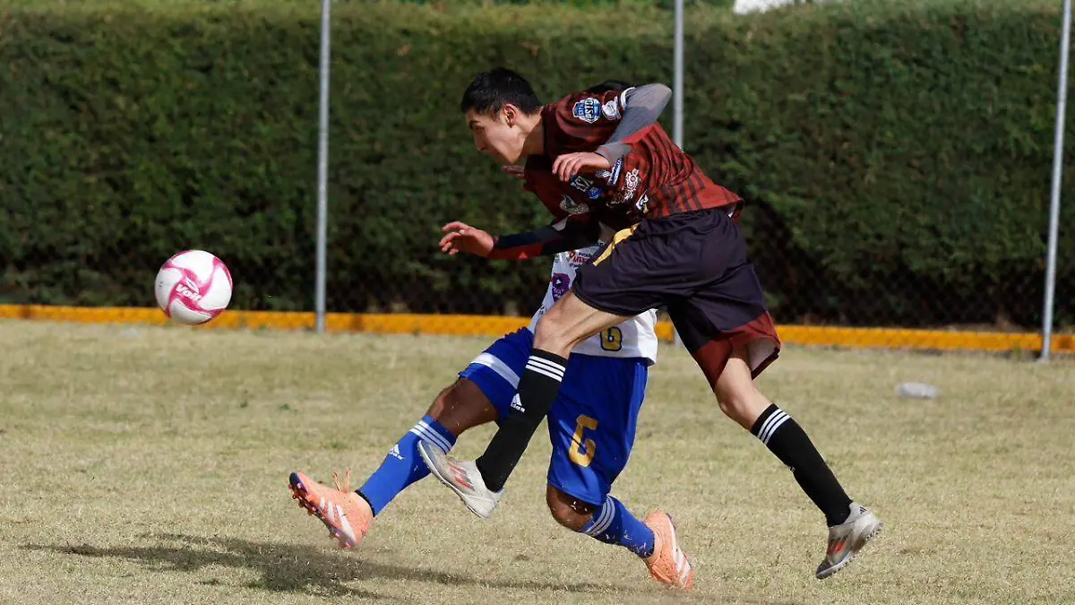 WhatsApp Image 2026-03-21 at 17.32.01