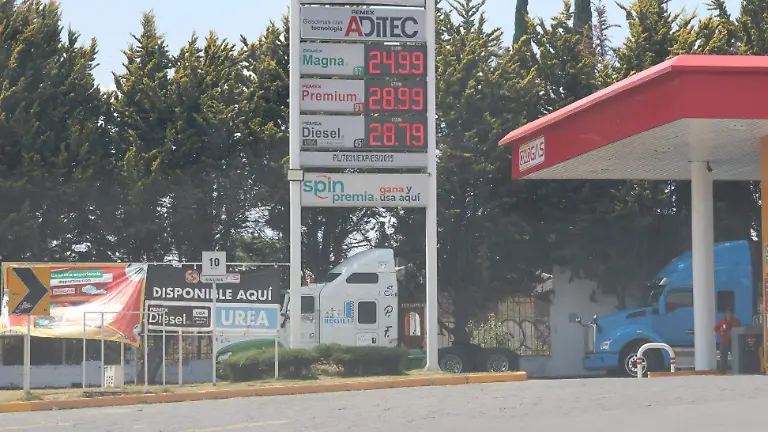 WhatsApp Image 2026-03-26 at 3.25.22 PM (1)