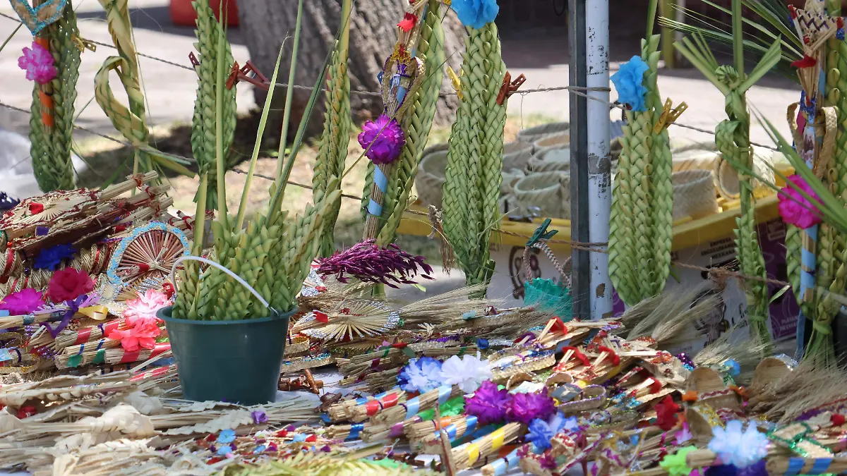 WhatsApp Image 2026-03-28 at 09.24.48