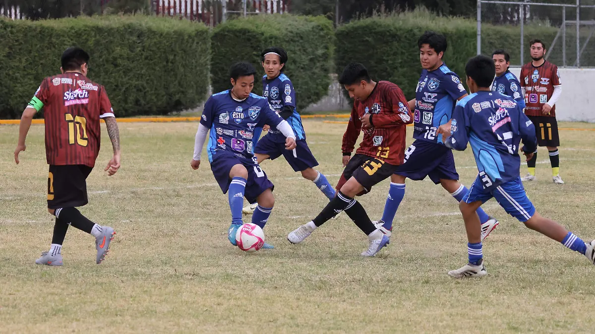 WhatsApp Image 2026-03-29 at 13.43.54