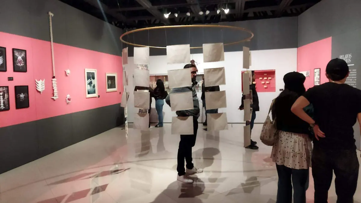 WhatsApp Image 2026-03-29 at 3.05.43 PM