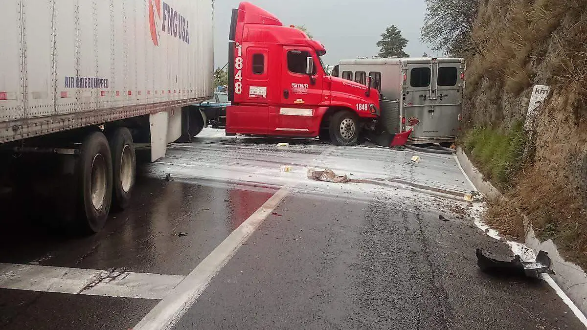 WhatsApp Image 2026-03-30 at 14.31.59