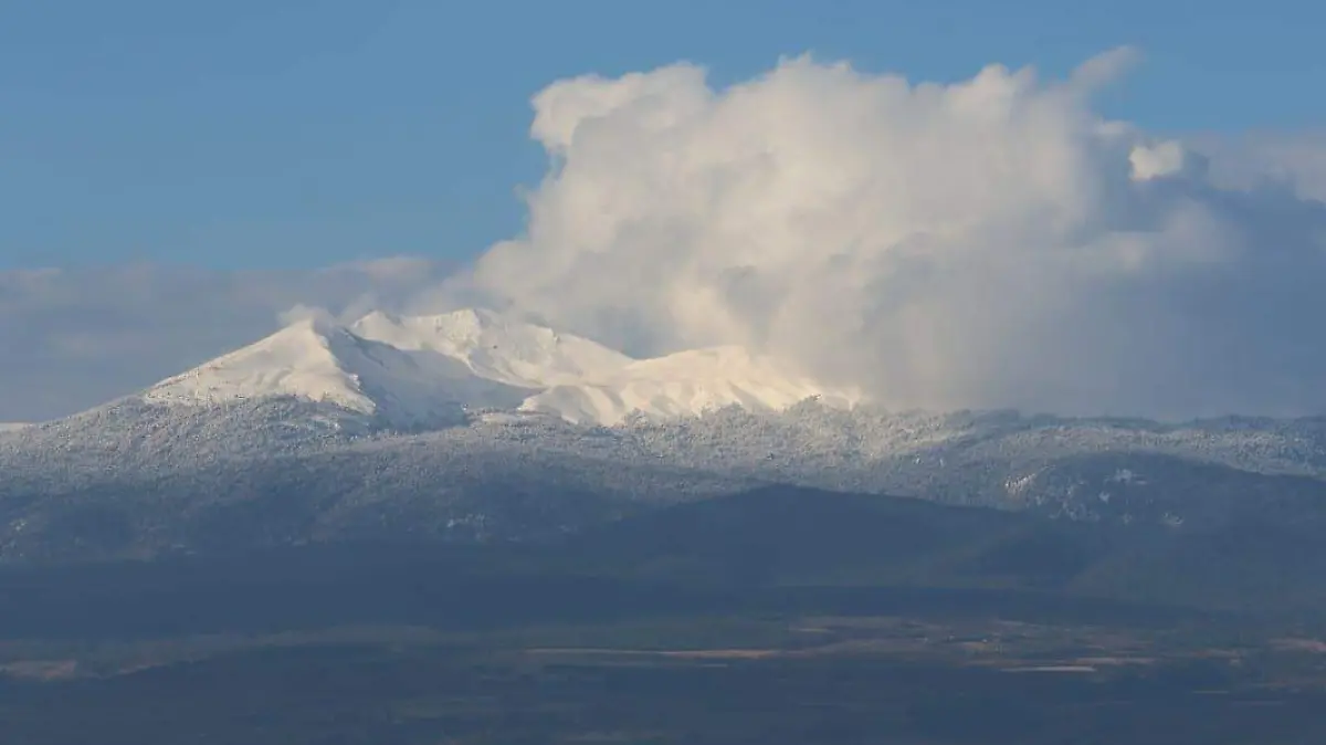 WhatsApp Image 2026-03-31 at 07.50.45