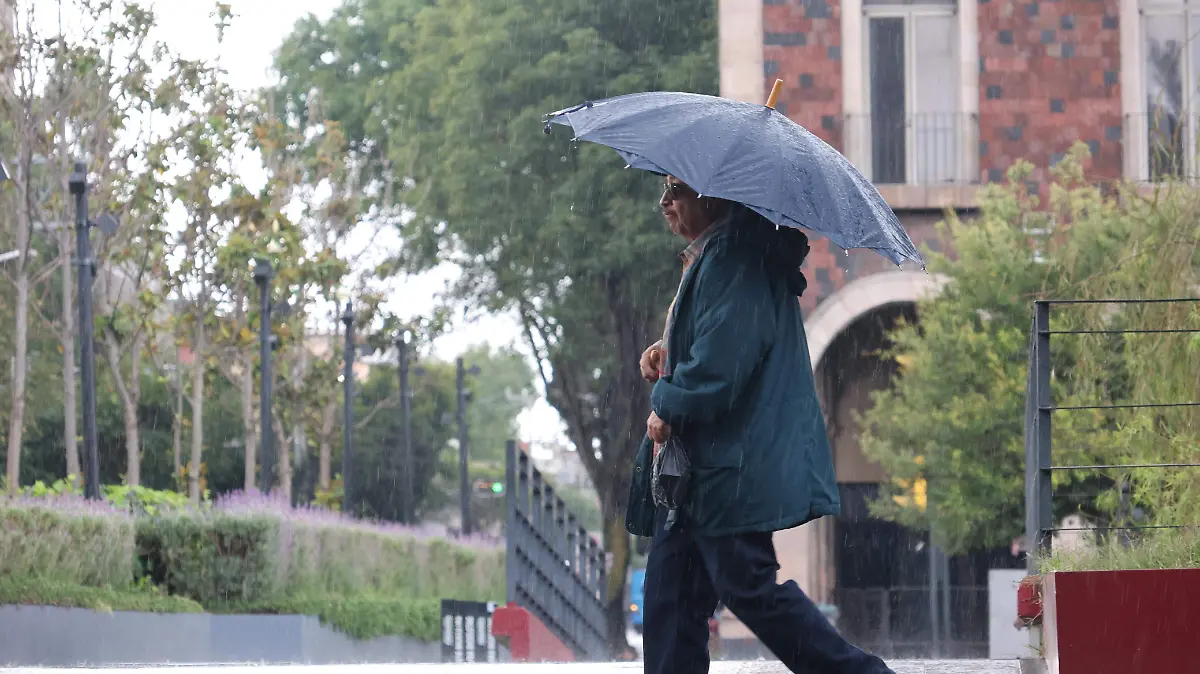 WhatsApp Image 2026-03-30 at 11.30.14 AM