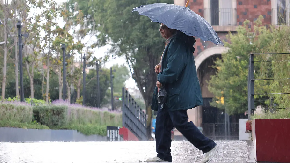 WhatsApp Image 2026-03-30 at 11.30.14 AM