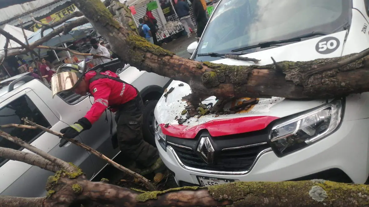 bdc8774c-c580-478b-bae1-cd7e58468ee9