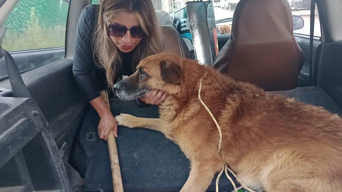 71a6162d-32ef-453d-ad68-59786170618a