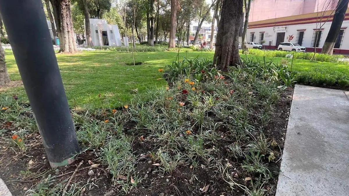 alameda-toluca-plantas