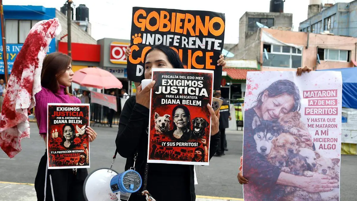 791f1438-6d7a-4ca2-80f2-7af7fe95e475