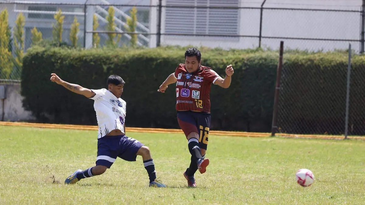 WhatsApp Image 2026-04-12 at 11.46.15