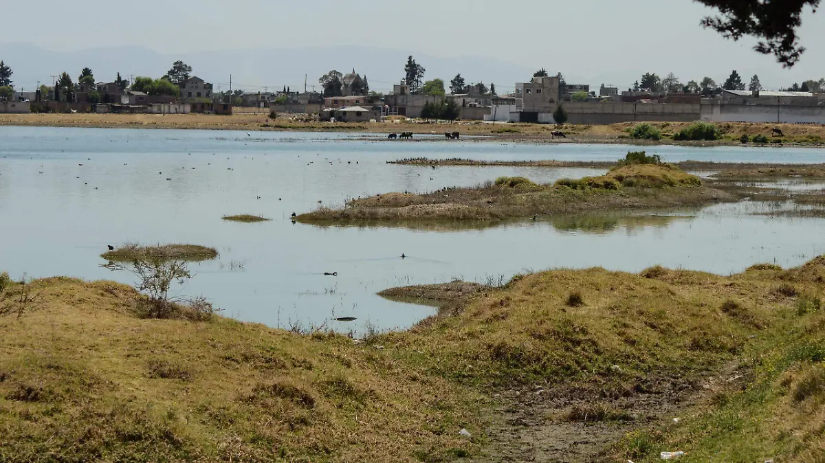 5266bc03-7176-484d-b812-d8640d370b0e