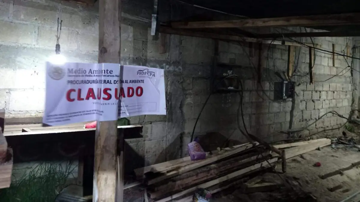 dad0d9e6-dce0-4130-a615-7687513c3945