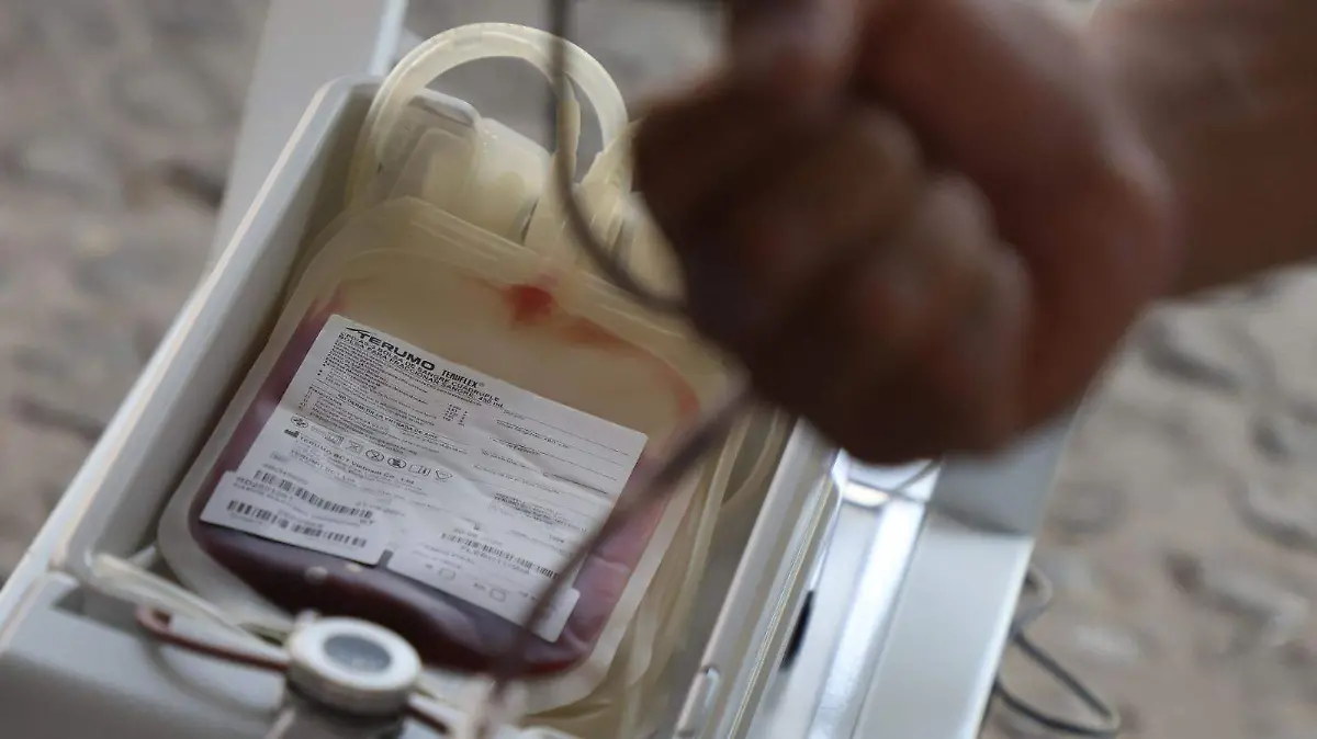 WhatsApp Image 2026-04-17 at 10.42.50 PM