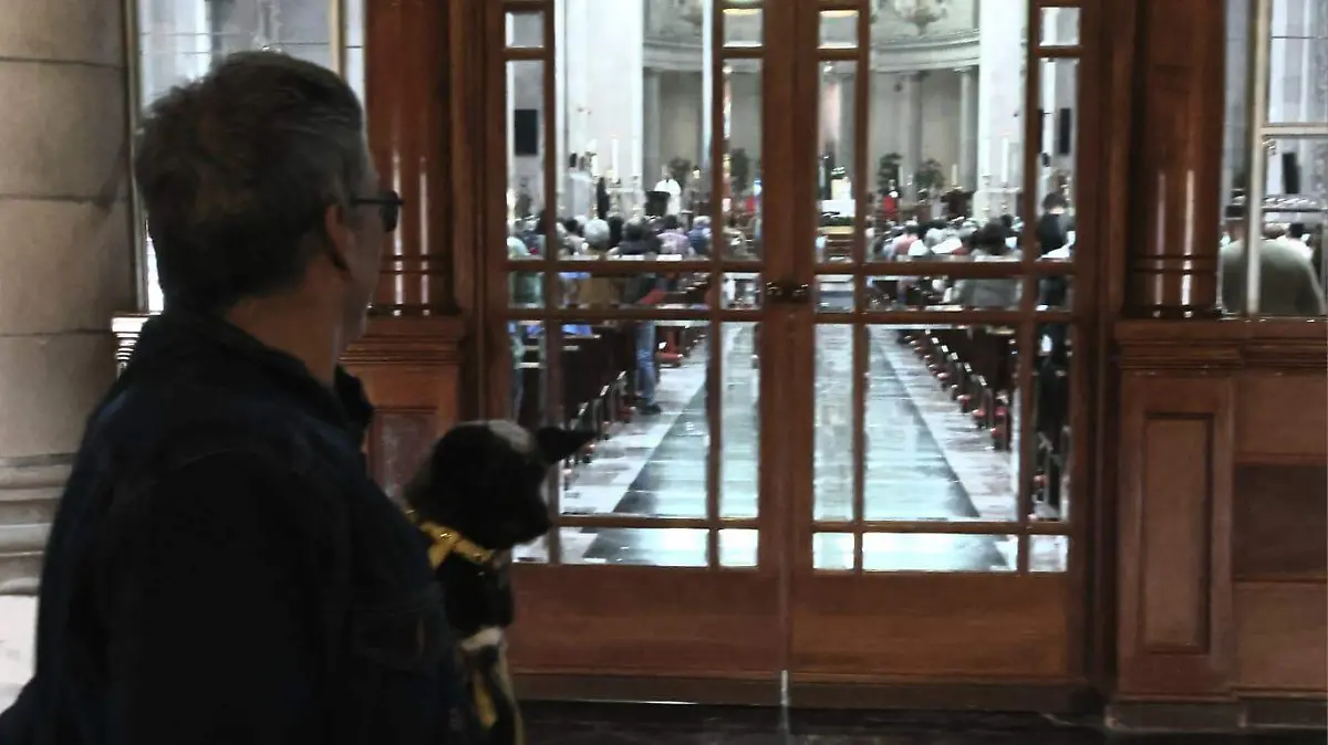 1fa3c37b-cc7f-4a04-8a6b-509b5135b281