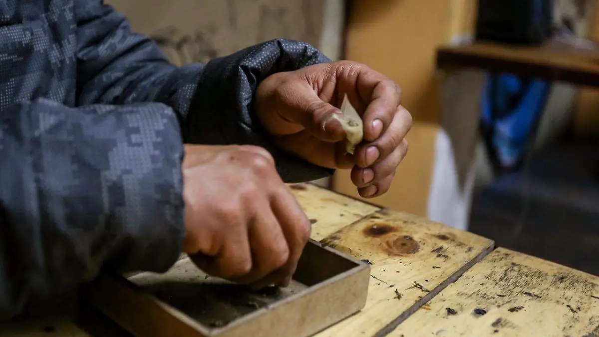 WhatsApp Image 2026-04-19 at 20.52.49