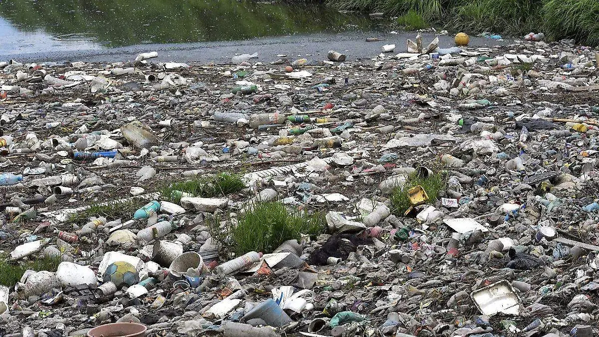 f338227e-fed8-4e40-b44d-8c19011c50c2