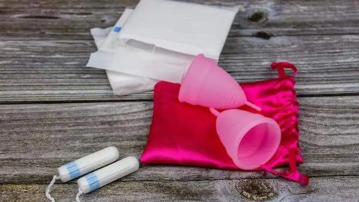 16e05848-377f-46f8-a706-c7d65e10cc24