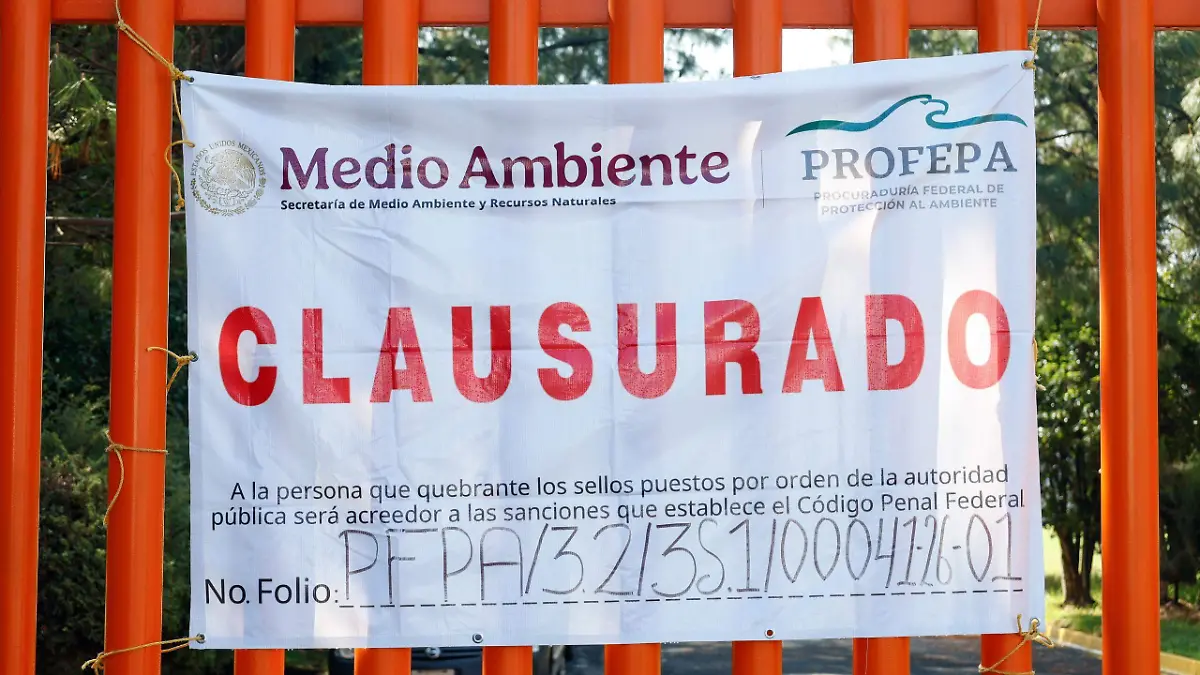 e0b20a99-3710-4fb0-b697-7dc2130d7d31