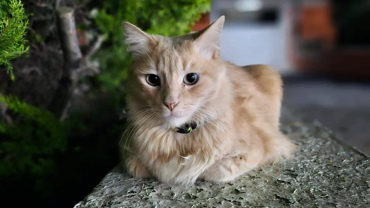 WhatsApp Image 2026-04-23 at 5.14.59 PM