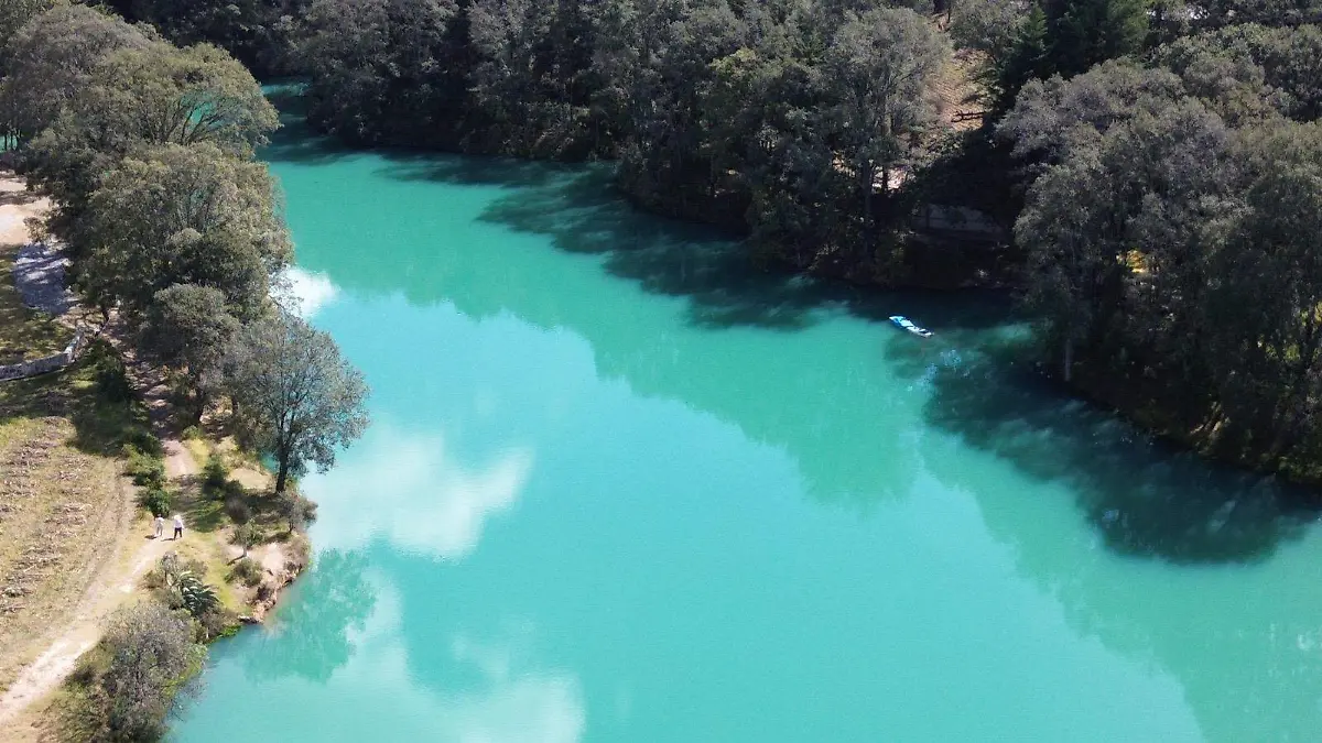 1bd1698f-87c1-4390-be57-6983fbf2cd09