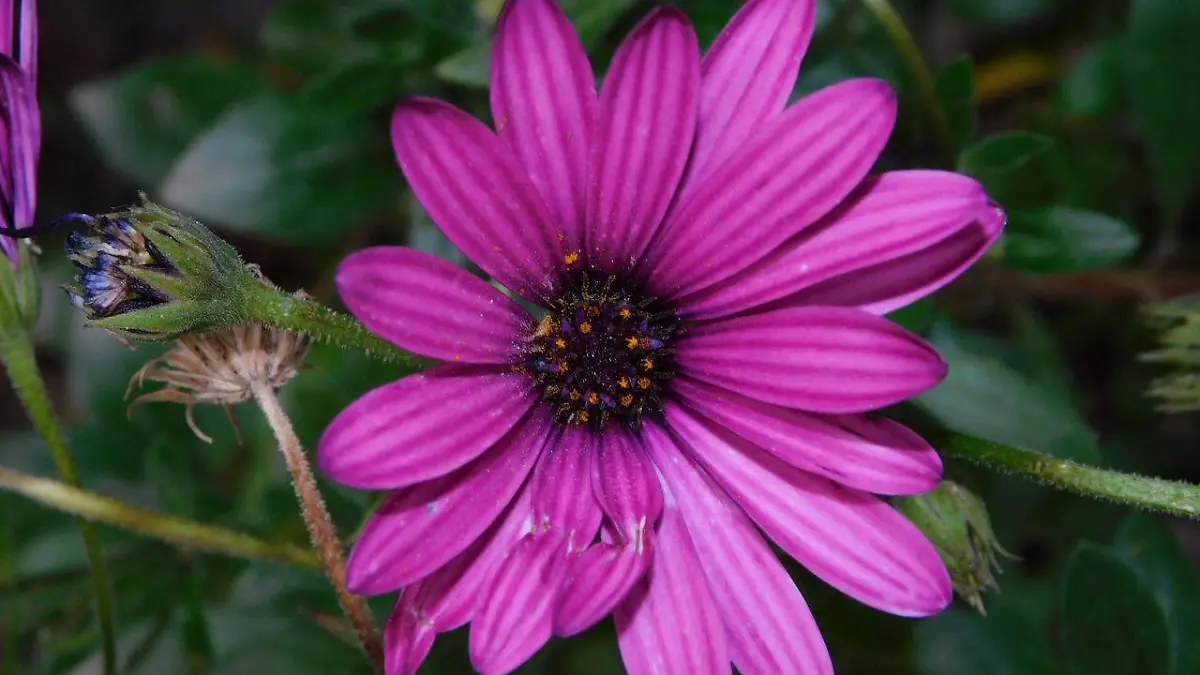 WhatsApp Image 2026-04-25 at 5.47.16 PM