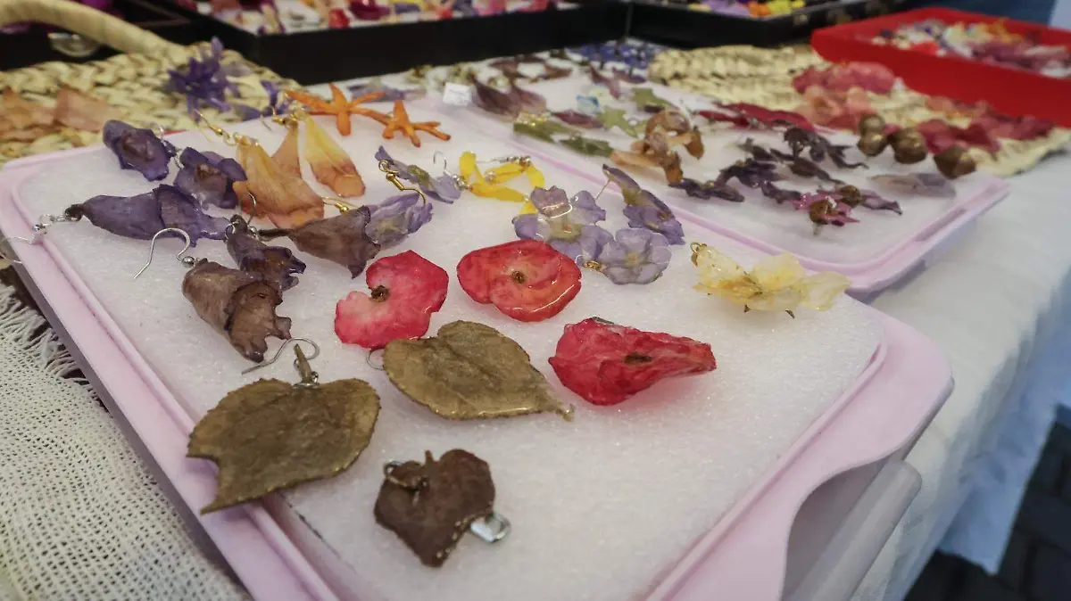 WhatsApp Image 2026-04-25 at 12.36.56 PM