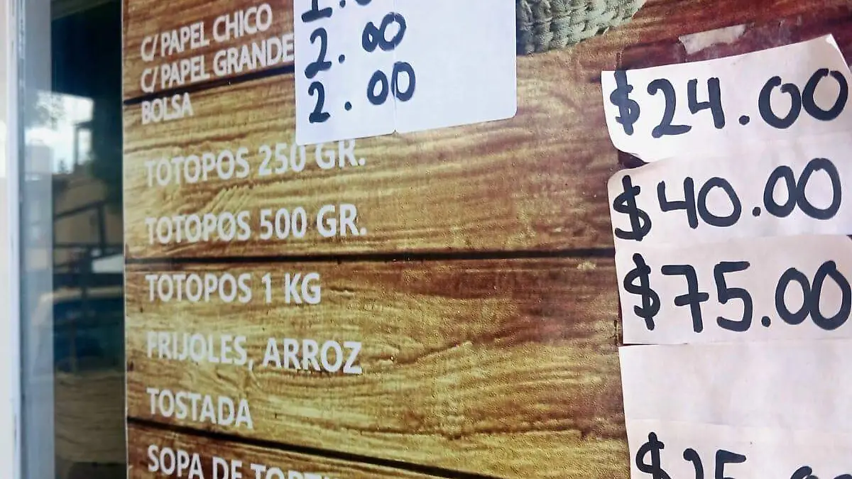 WhatsApp Image 2026-04-27 at 11.05.56 PM