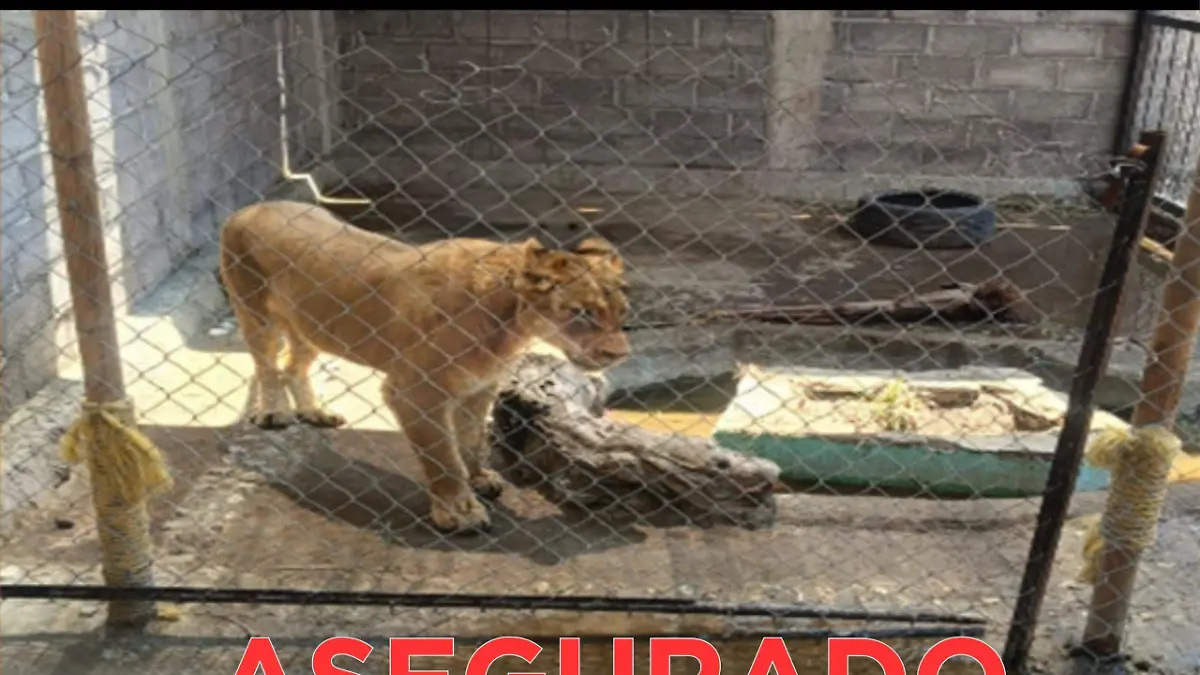 WhatsApp Image 2026-04-29 at 13.49.53