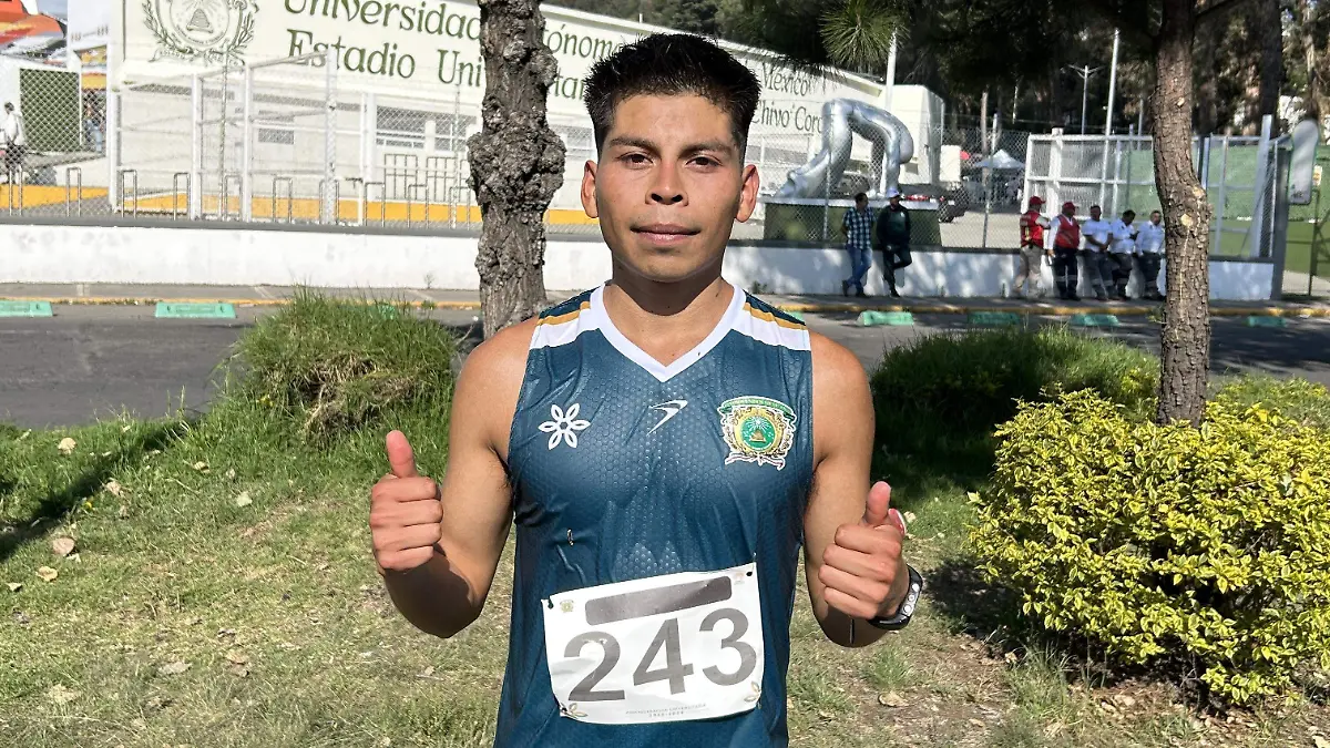 Porcayo1