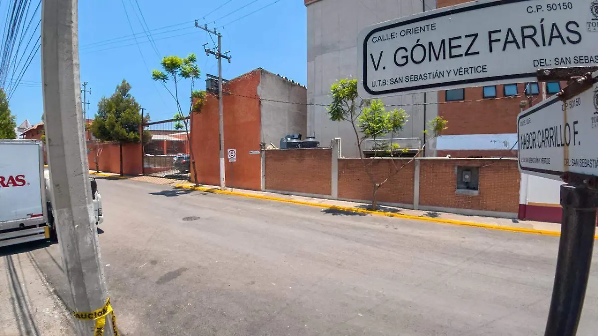 Toluca Gómez Farias