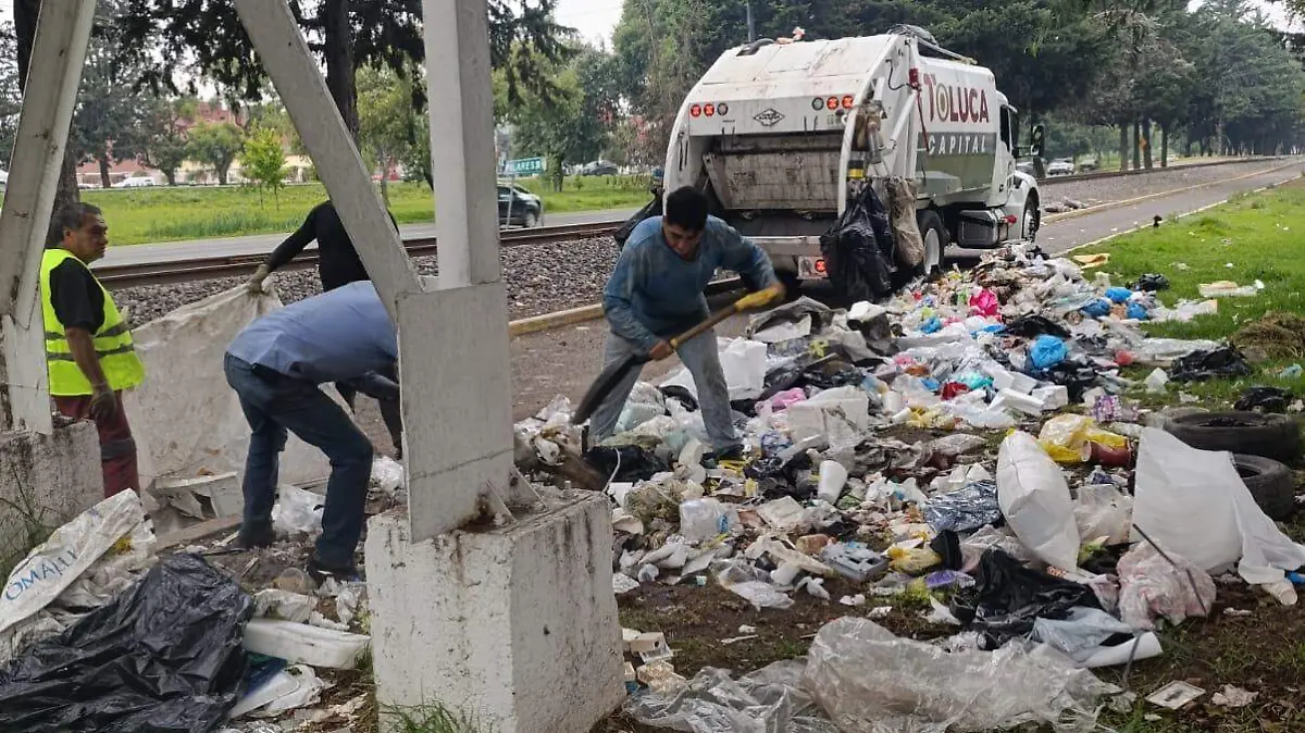 basura tollocan