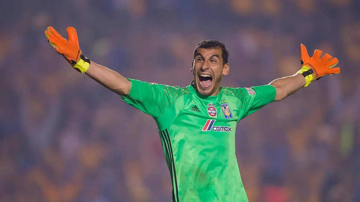 FigurasTigres6 (1)