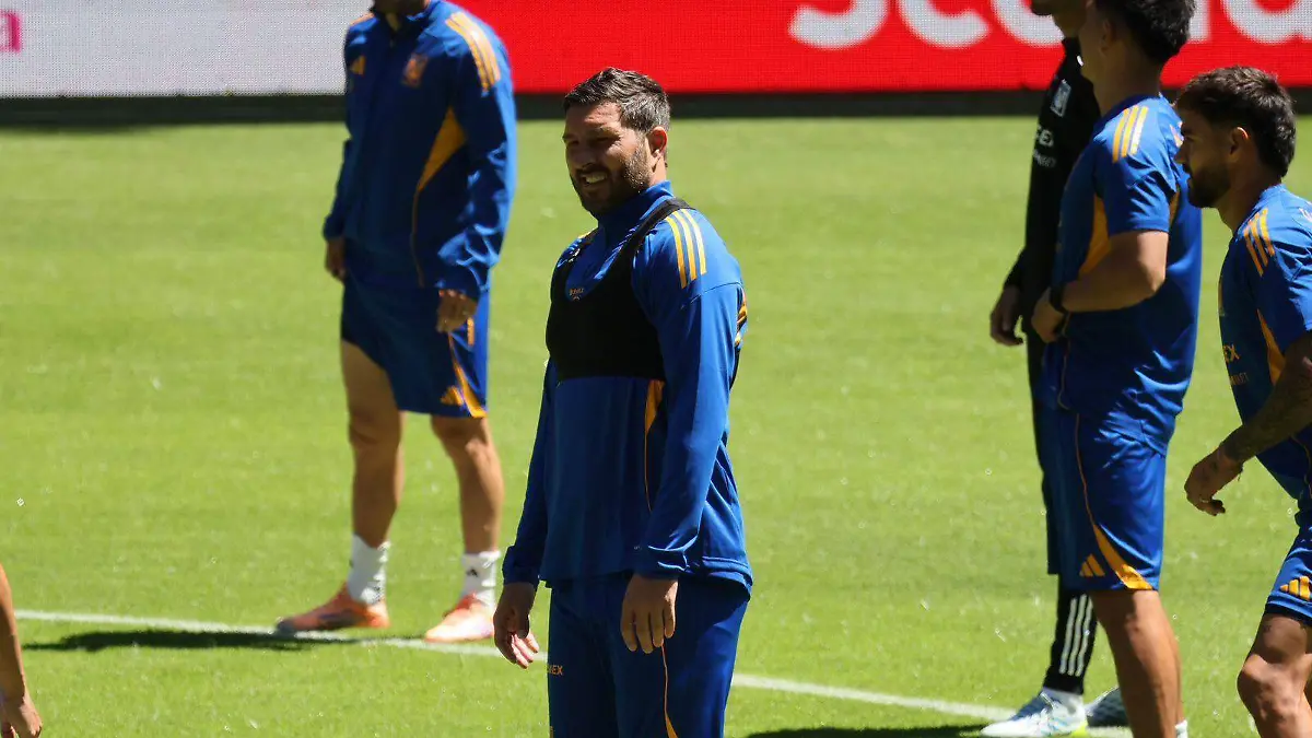 tigres