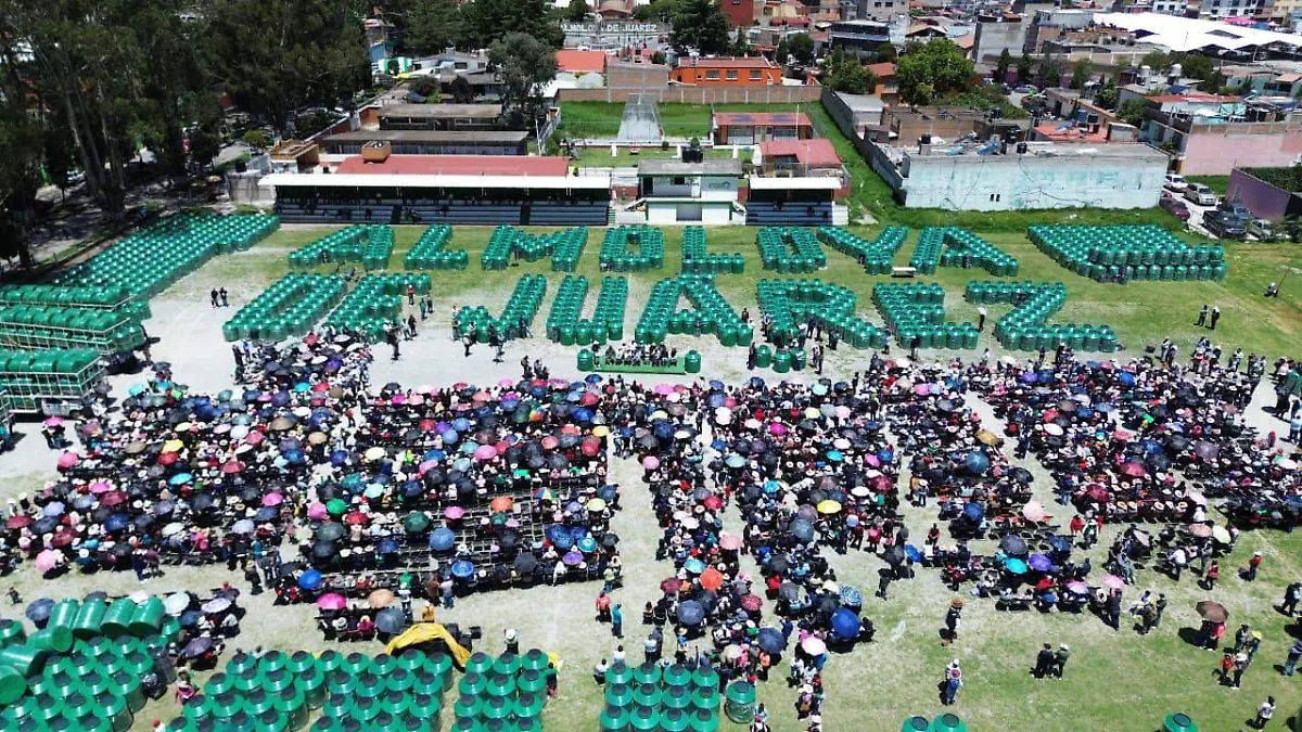 partido verde