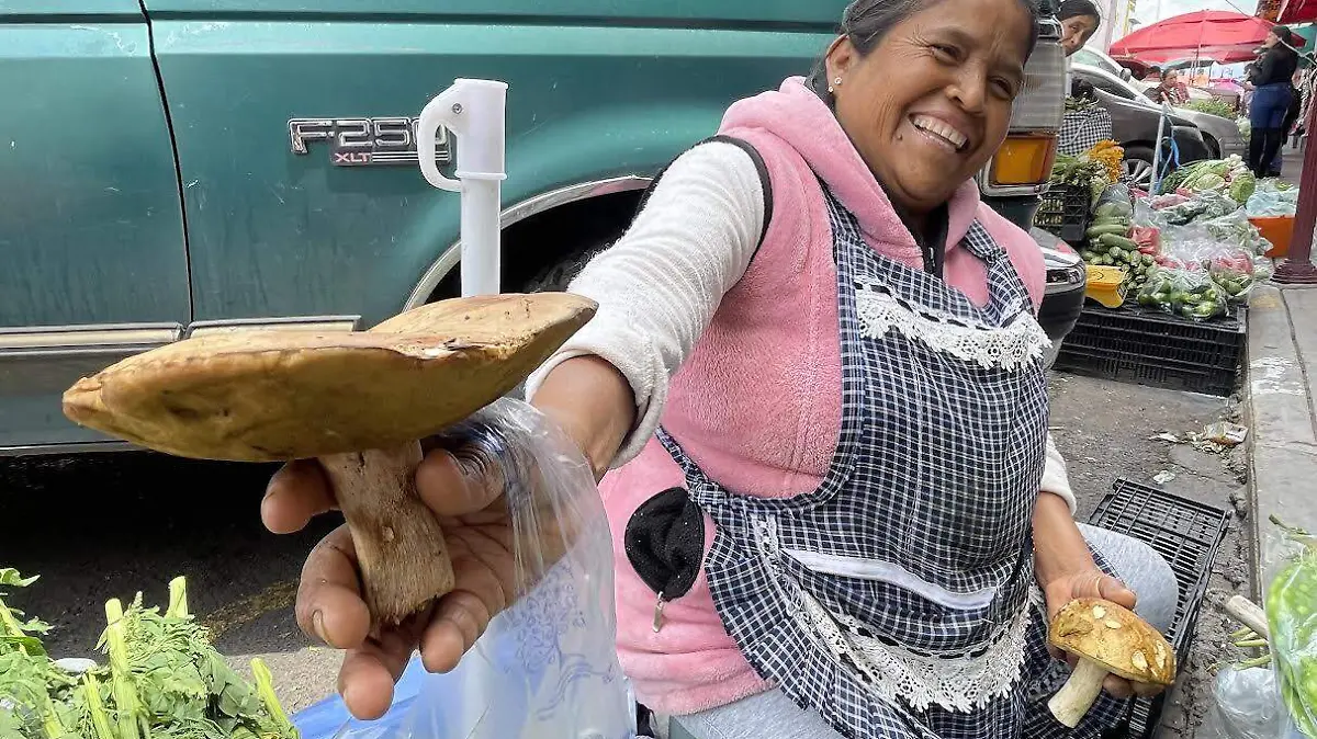 hongos edomex
