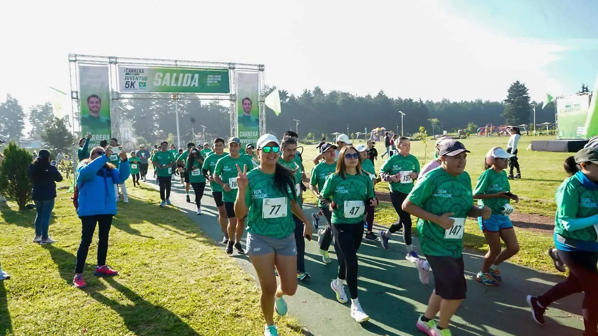partido verde