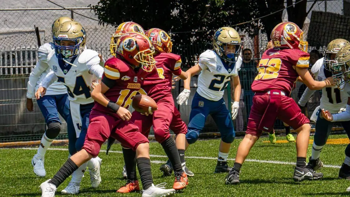 Redskins1