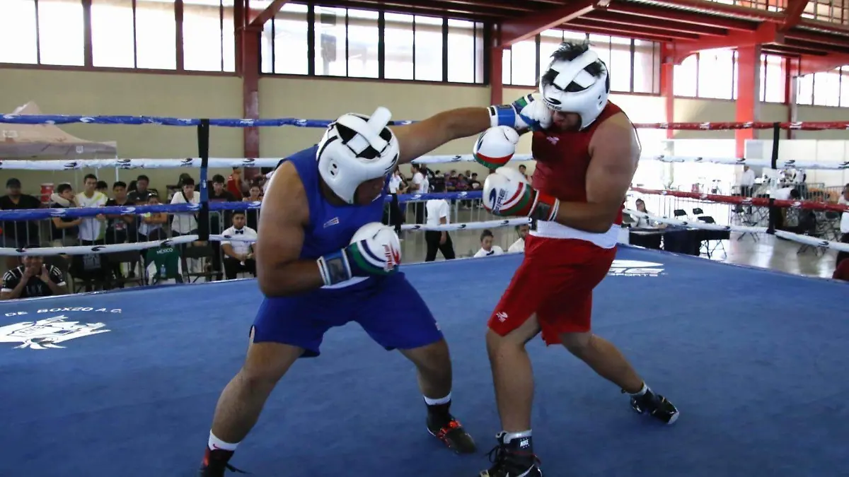 Boxeadores1