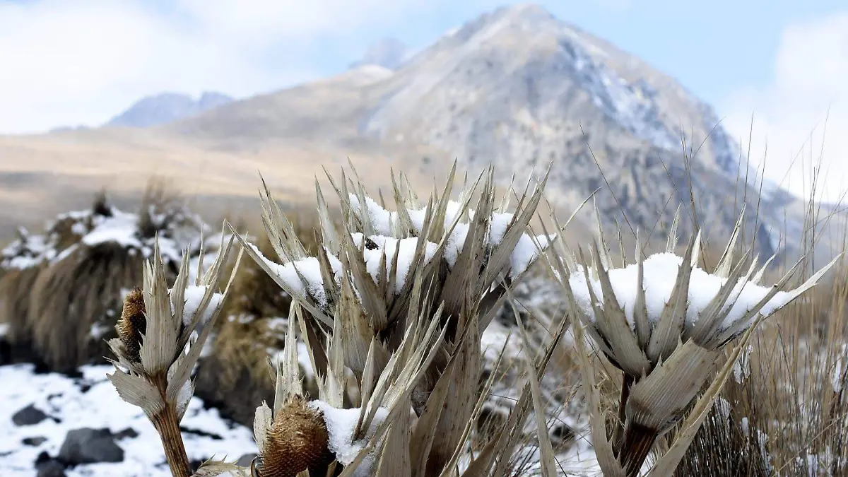 nevado 1