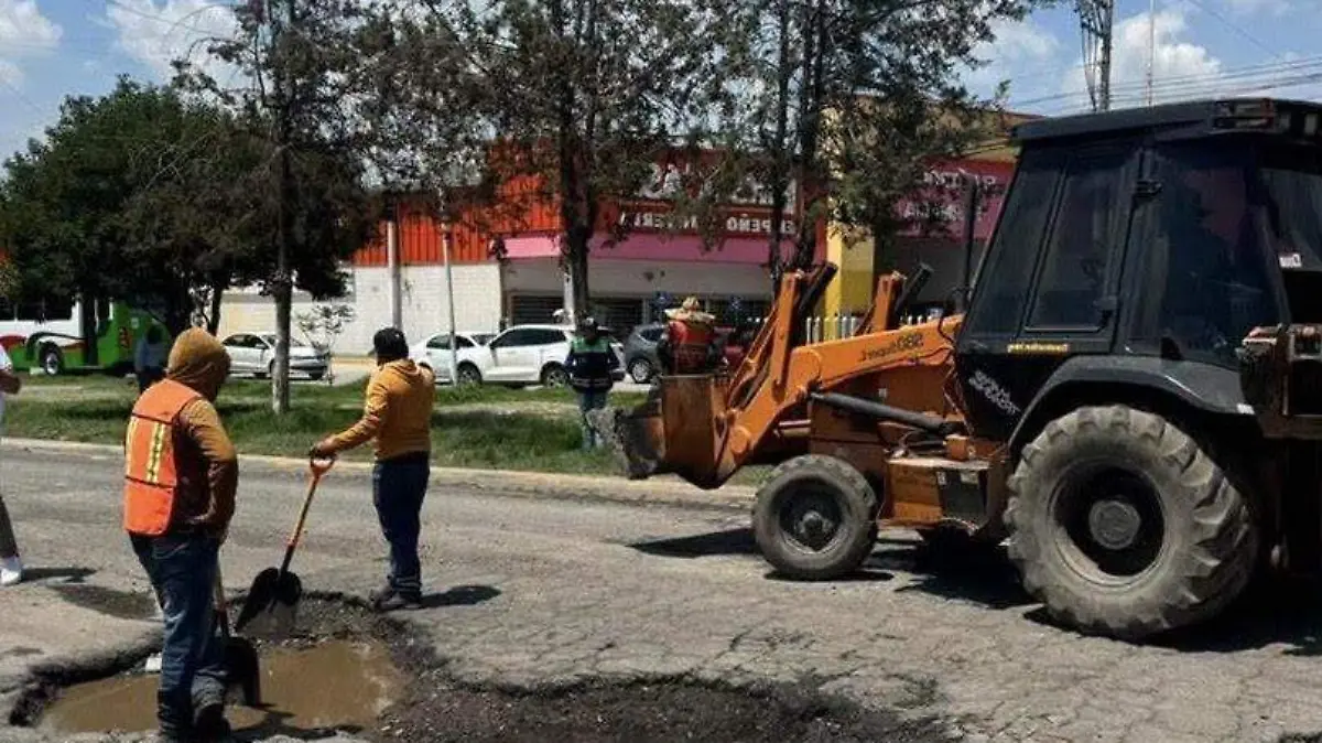 baches