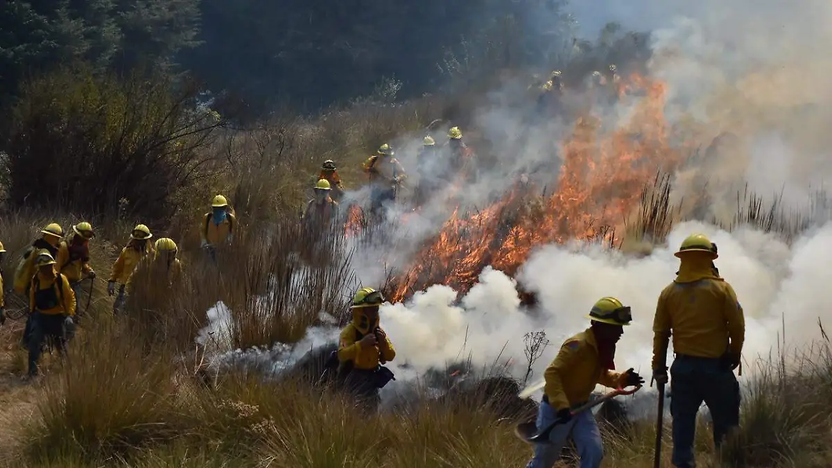 combate incendios edomex